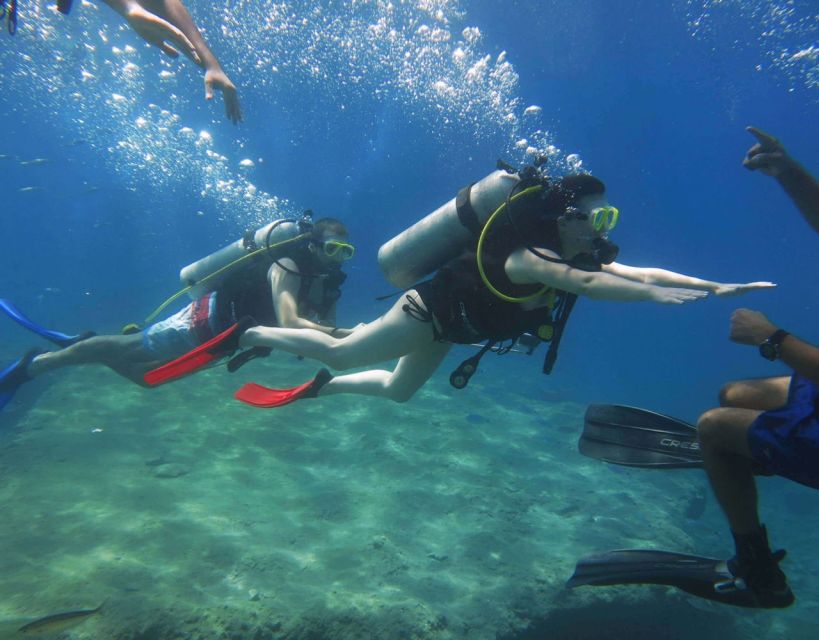 Fethiye: 2 Guided Scuba Dives with Lunch and Hotel Transfers - Should You Book This Two-Session Fethiye Day?
