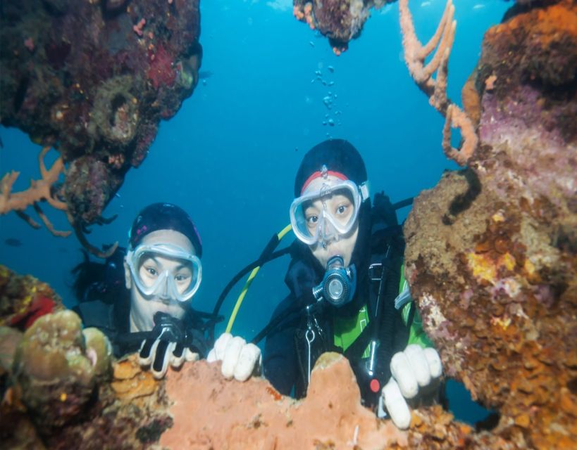 Fethiye: 2 Guided Scuba Dives with Lunch and Hotel Transfers - Training and Safety: What You’re Actually Paying For