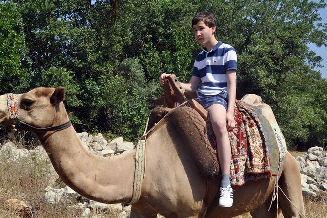Fethiye Camel Riding at Gosht Town - Price and what your money actually covers