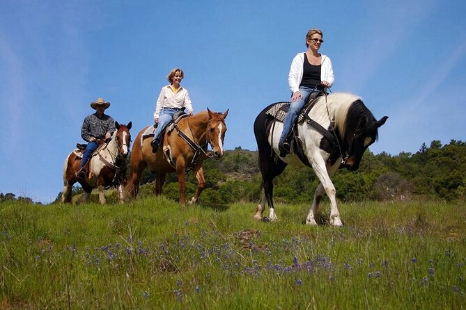 Fethiye Horse Riding Experience With Free Hotel Transfer Service - On the Trail with a Trainer: What the Horse Riding Prep Really Means