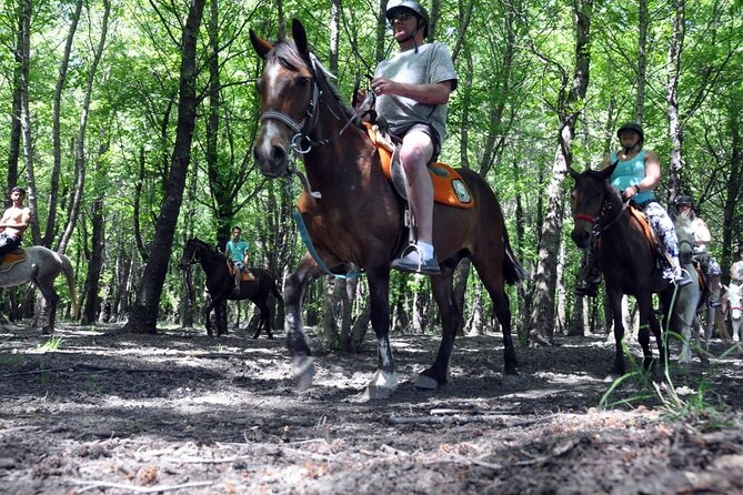 Fethiye Horse Riding Experience With Free Hotel Transfer Service - Who This Horse Riding Experience Fits Best (and Who Should Skip It)