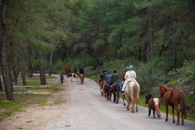 Fethiye Horse Riding Experience With Free Hotel Transfer Service - Price and Value: Is $55 a Good Deal for What You Get?