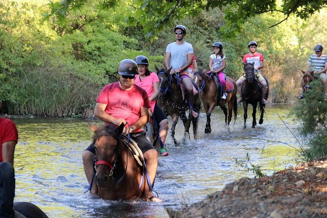 Fethiye Horse Riding Experience With Free Hotel Transfer Service - What to Bring for a Comfortable Ride in Fethiye