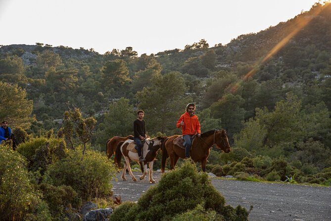 Fethiye Horse Riding Experience With Free Hotel Transfer Service - How Long You’re Actually on the Horse: The 2–3 Hour Day with 40–50 Minute Mounted Time