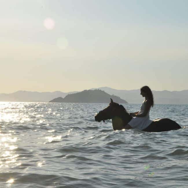Fethiye Horse Riding in the Sea, Botanical Forest, Beach and Coastal Horseback Riding - Key things I’d bet on before you book