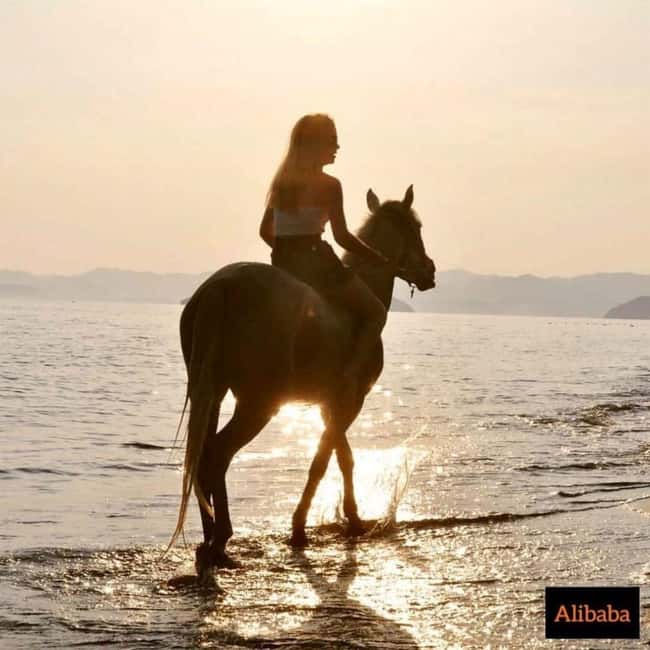 Fethiye Horse Riding in the Sea, Botanical Forest, Beach and Coastal Horseback Riding - The Botanical Forest Segment: Shade, Scents, and a Slower Mind