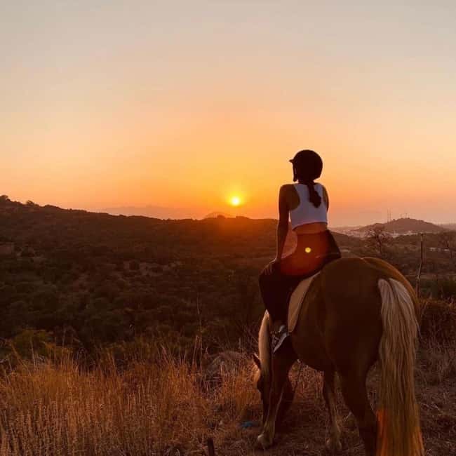 Fethiye Horse Safari Tour, Forest and Hisaronu View - Key Things You’ll Notice on This Horse Safari