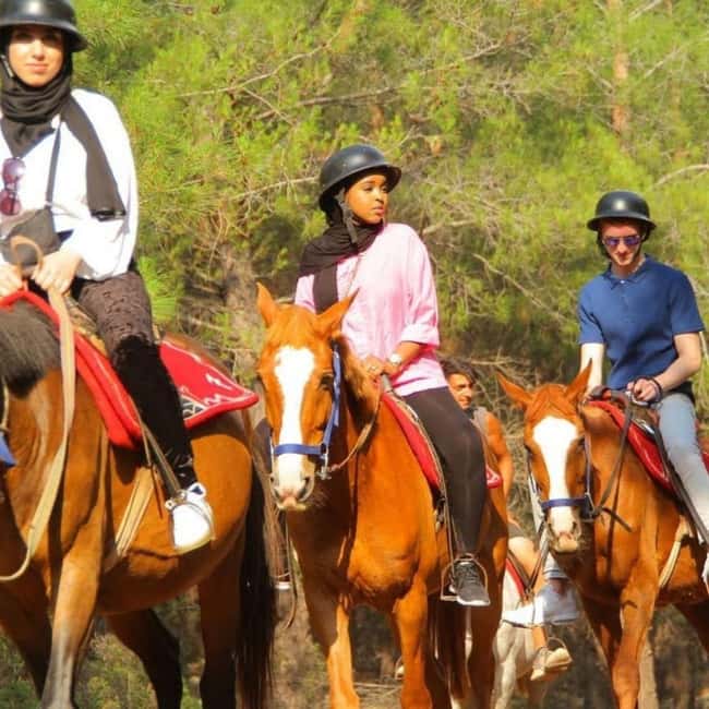 Fethiye Horse Safari Tour, Forest and Hisaronu View - What to Bring (and What to Skip) So the Day Stays Smooth