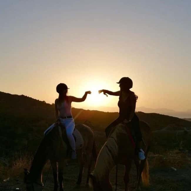 Fethiye Horse Safari Tour, Forest and Hisaronu View - Who This Tour Is Best For (And Who Might Want Something Else)