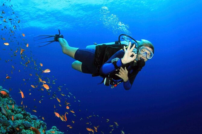 Fethiye Scuba Diving Experience By A Local Expert - Key Highlights You’ll Actually Care About