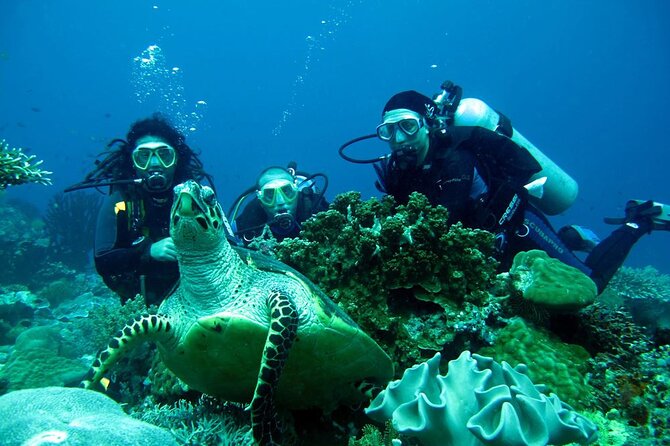 Fethiye Scuba Diving Experience By A Local Expert - A 7-Hour Fethiye Scuba Day: What the Schedule Feels Like