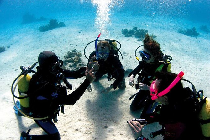 Fethiye Scuba Diving Experience By A Local Expert - Two Underwater Sessions: Why Two Makes the Day Better