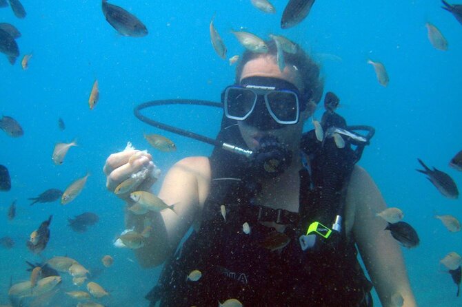 Fethiye Scuba Diving Experience By A Local Expert - Boat Ride + Lunch: The On-Trip Energy Check