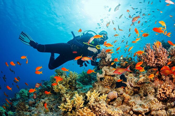 Fethiye Scuba Diving Experience By A Local Expert - Visibility of 30–40 Meters: How to Enjoy It Without Overthinking