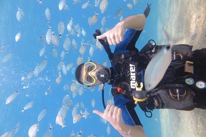 Fethiye Scuba Diving Trip with Mermaid Diving INCL Lunch-Transfer - Lunch on the boat: the fuel that makes the second stop better