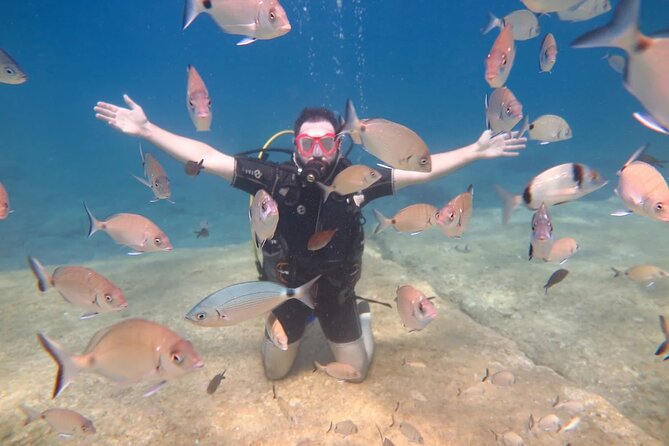 Fethiye Scuba Diving Trip with Mermaid Diving INCL Lunch-Transfer - Stop 2: Tarzan Bay for a second 20-minute session and downtime on the surface