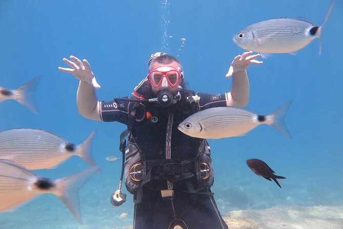 Fethiye Scuba Diving Trip with Mermaid Diving INCL Lunch-Transfer - What you get for the price (and what costs extra)