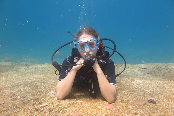 Fethiye Scuba Diving Trip with Mermaid Diving INCL Lunch-Transfer - Who this Fethiye day trip suits best