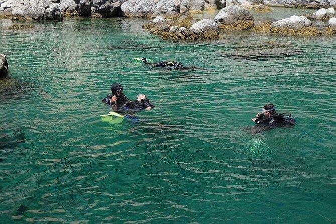 Fethiye Scuba Diving with Transfer, 2 Dives and Lunch - Two Underwater Sessions: Caves, Fish, and Real Depth Expectations