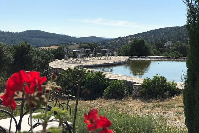 Food and Wine pairing Dinner at Karnas Vineyards Bodrum - Vineyard Pickup and the Karaova Drive That Sets the Mood