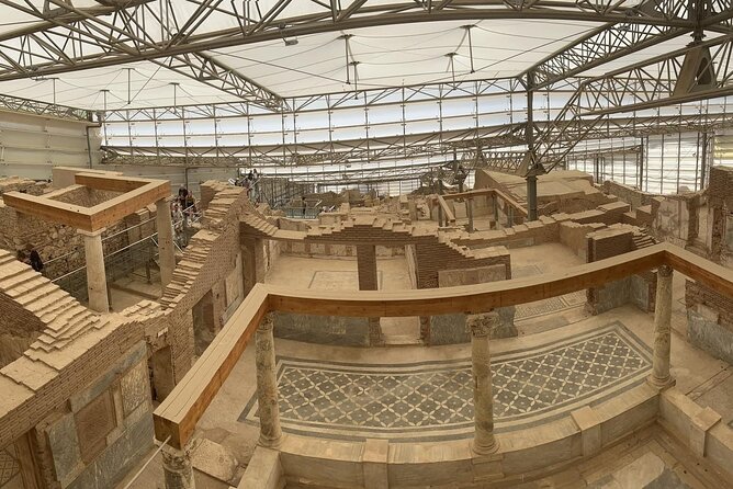 FOR CRUISERS: Best of Ephesus Private Tour (GUARANTEED ON-TIME RETURN) - Ancient City of Ephesus highlights: Celsus, Theatre, and Marble Street