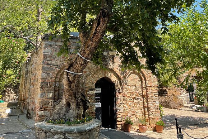 FOR CRUISERS: Private Ephesus Tour with GUARANTEED ON-TIME RETURN - Optional stops: Terrace Houses, Saint John Basilica views, and shopping time
