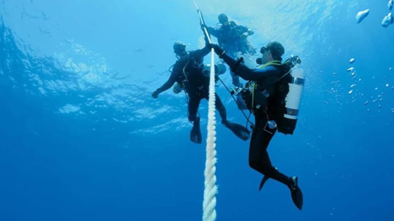 From Alanya: Scuba Diving Tour with Hotel Transfers - Who Should Book This Tour (and Who Should Skip It)
