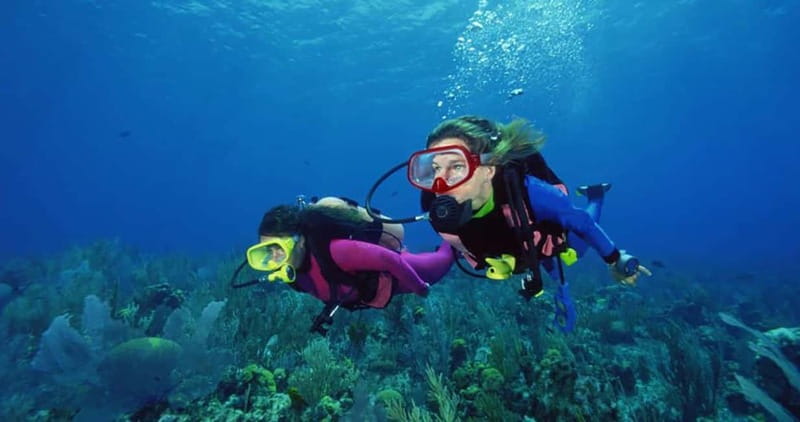 From Alanya: Scuba Diving Tour with Hotel Transfers - How the 8-Hour Day Flows From Alanya and Side