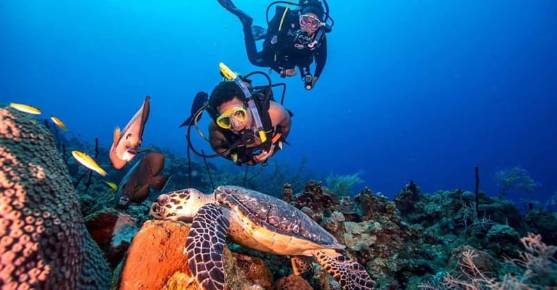 From Alanya: Scuba Diving Tour with Hotel Transfers - Two Underwater Sessions at Up to 6 Meters