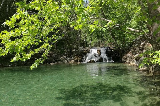 From Alanya & Side: Sapadere Canyon Tour - Demirtaş village direction and the nomad tent gözleme break