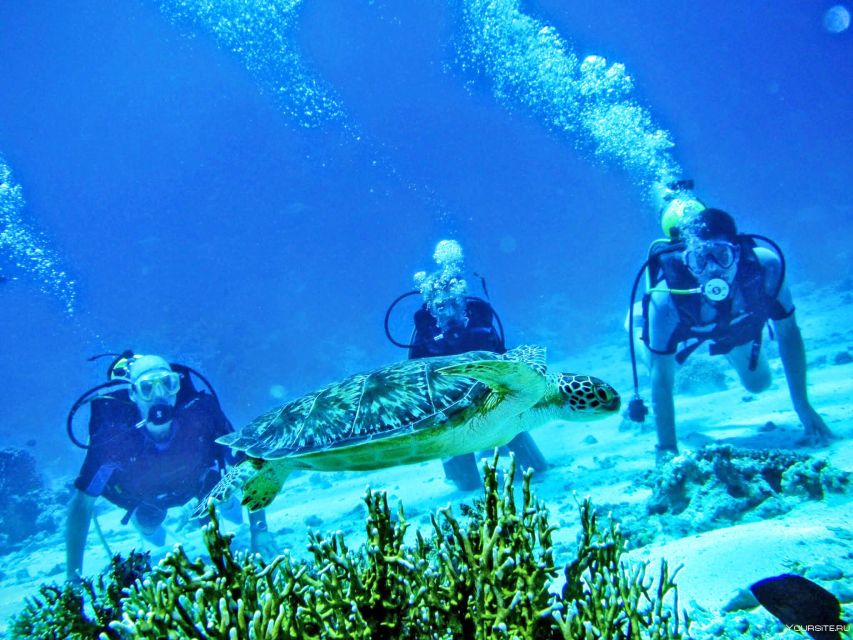 From Antalya| Kemer: Diving Tour with Experienced Instructor - The 8-Hour Timeline: Pickup to Return Around 15:30