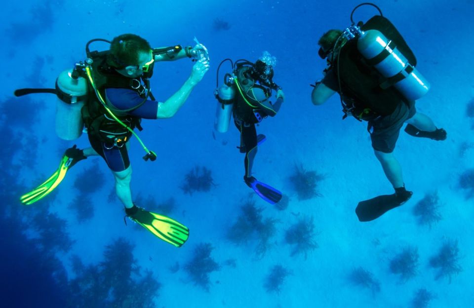 From Antalya| Kemer: Diving Tour with Experienced Instructor - Beginner-Friendly Training vs. What You Should Expect to Learn