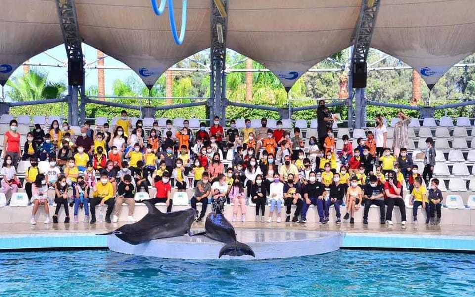 From Belek: Dolphin Show with Transfers - Should you book this Belek dolphin show?
