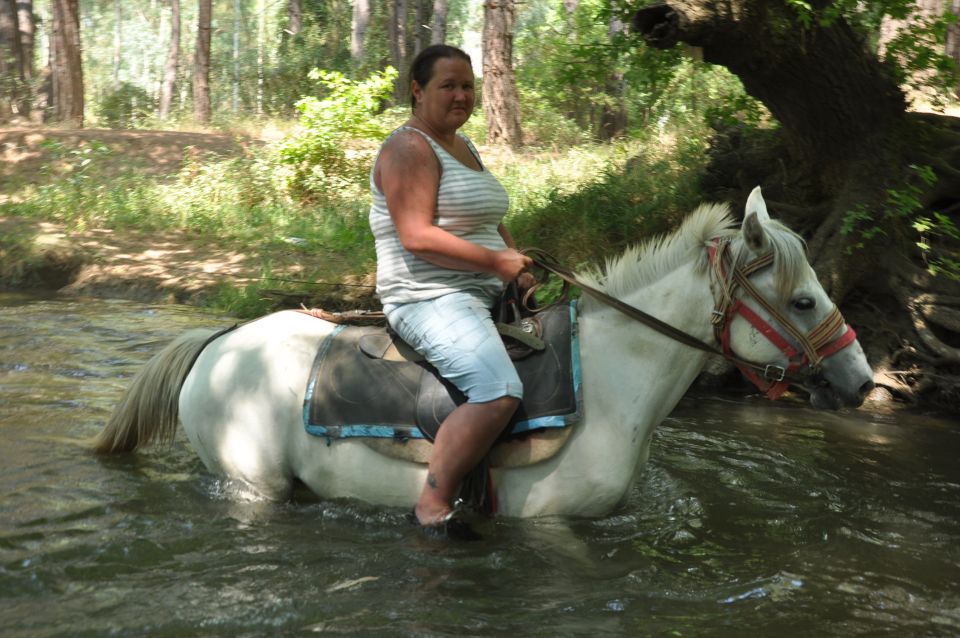 From Bodrum/Gümbet: Guided Horseback Riding Expereince - A Beginner Ride That Starts at Your Hotel