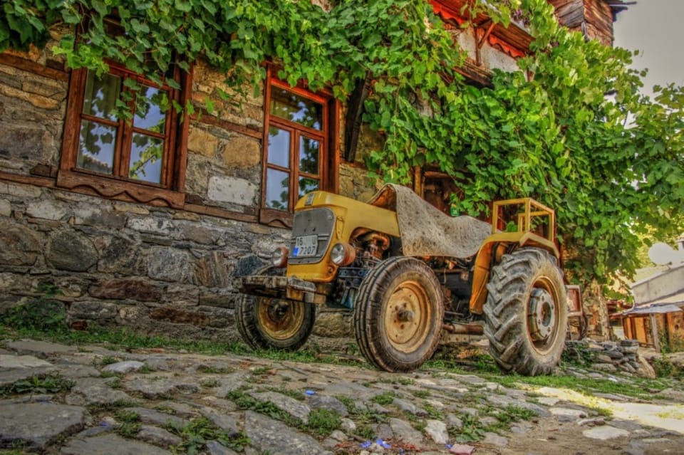 From Bodrum: Private Village Tour with Lunch and Transfers - What to Bring (So You Enjoy the Day, Not Just Tolerate It)