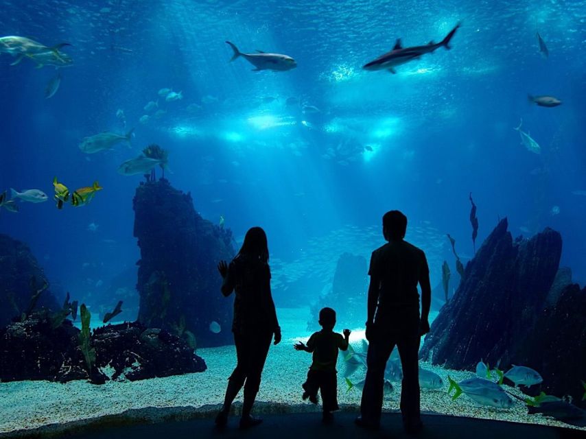 From city of Side: Antalya Aquarium Full-Day Trip - Key Things You’ll Notice on This Trip
