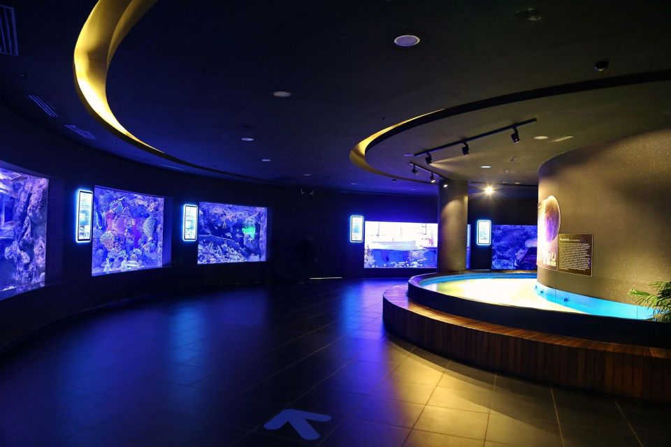 From city of Side: Antalya Aquarium Full-Day Trip - Antalya Aquarium’s Themed Zones: Snow World Meets Sea Life