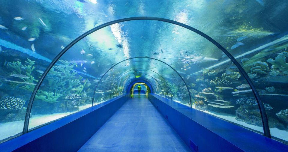 From city of Side: Antalya Aquarium Full-Day Trip - How Much Aquarium Time Do You Actually Get?