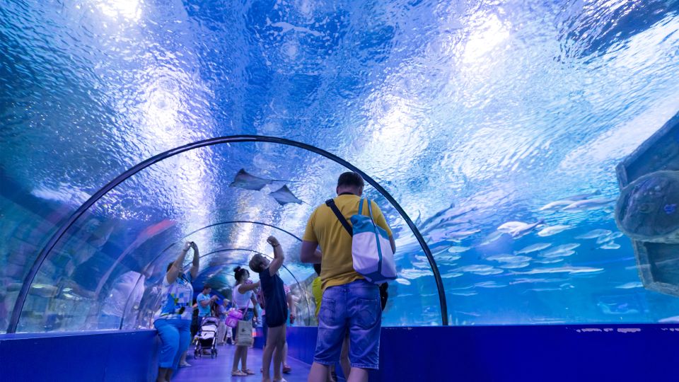 From city of Side: Antalya Aquarium Full-Day Trip - Price and Value: Is $77 Fair for What You Get?