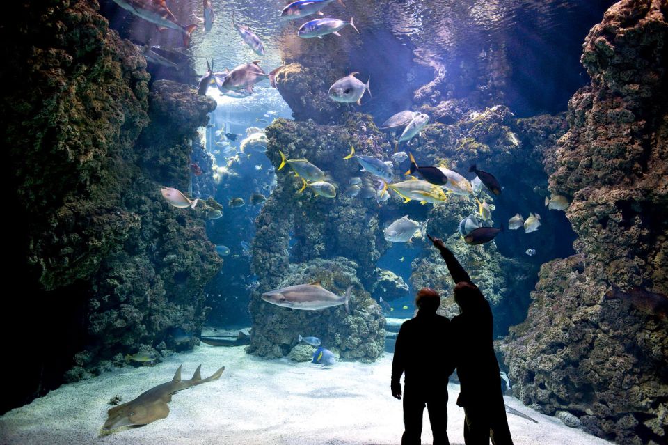 From city of Side: Antalya Aquarium Full-Day Trip - Who This Tour Suits Best