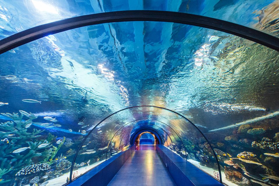 From City of Side: Antalya Aquarium Tour, Ticket & Transfer - Entering the Antalya Aquarium: tunnel tanks and 64 displays