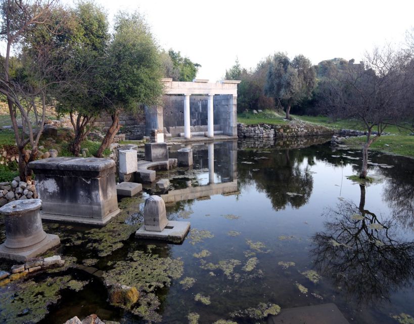 From Fethiye: Dalyan Day Trip with Mud Bath and Turtle Beach - Who should book this Dalyan day trip (and who should reconsider)
