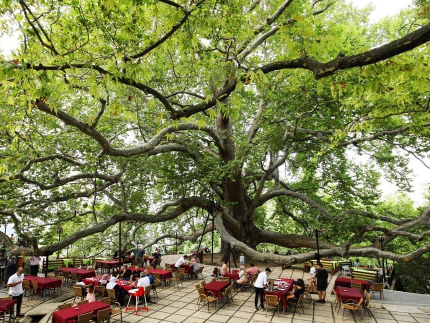 From Istanbul: Bursa Day Trip with Lunch and Transfers - Bursa sweet stops: Turkish delight, honey, and the 610-year plane tree