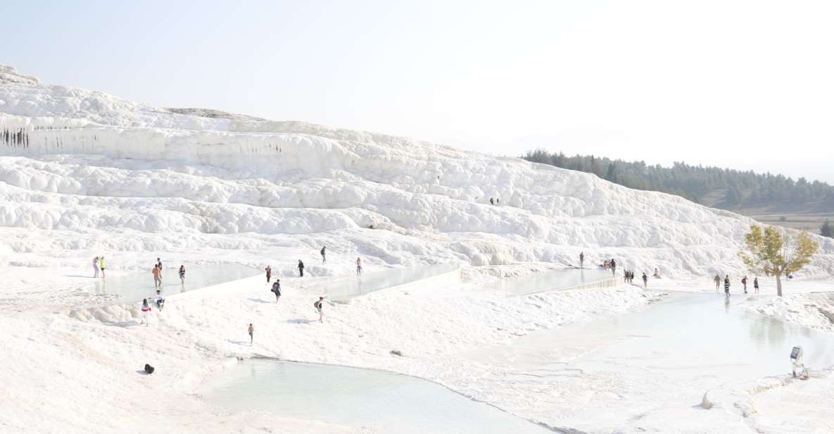 From Istanbul: Ephesus and Pamukkale 2-Day Trip - The Guide Factor: Why Nizam’s name keeps popping up