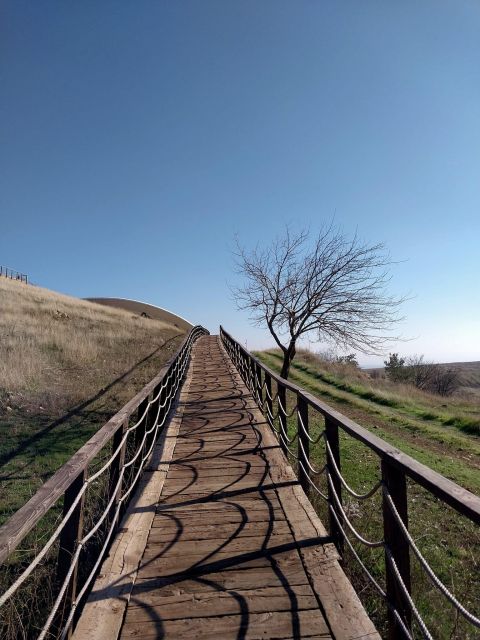 From Istanbul: Gobeklitepe Daily Tour - Price and value: does $735 make sense for your day?