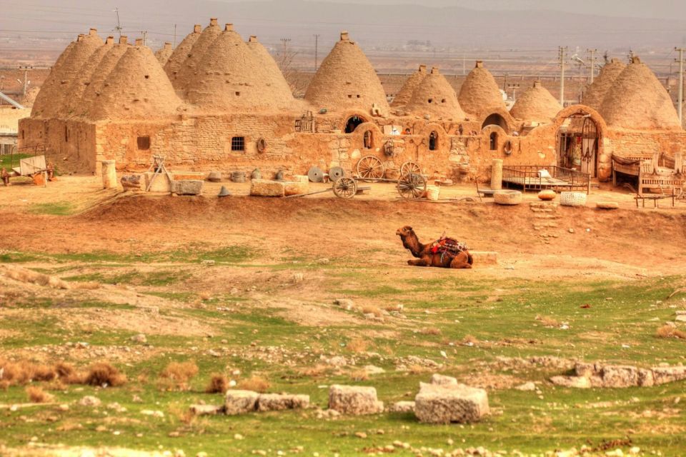 From Istanbul: Gobeklitepe Day Tour - What to bring and how to prep for a smooth travel day