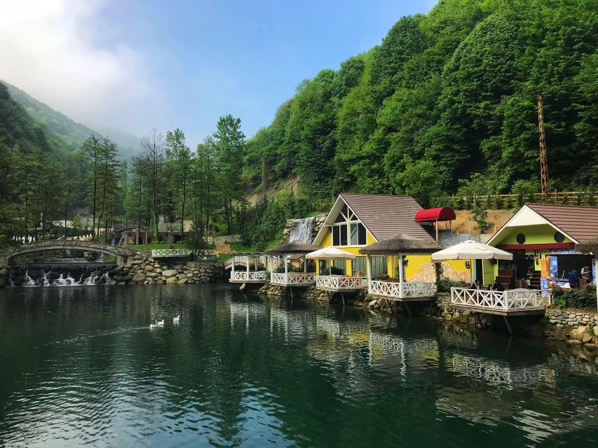 From Istanbul: Guided Day Trip to Sapanca and Masukiye - Sapanca Zoo: Animals, Care, and Photo Stops That Actually Have a Purpose