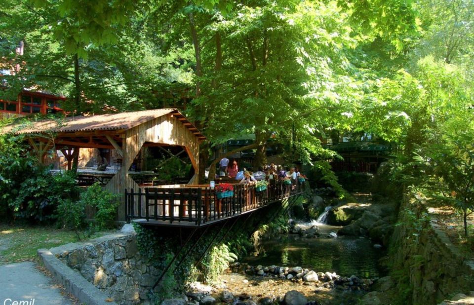 From Istanbul: Guided Day Trip to Sapanca and Masukiye - Pickup, Drive Time, and the First Big Moment at Sapanca Lake