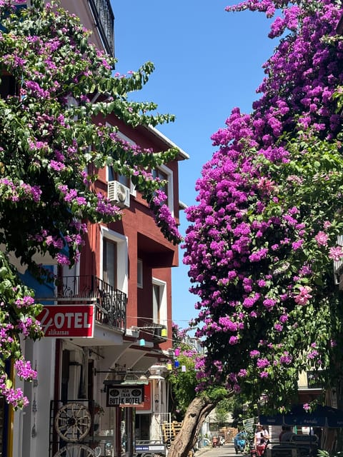 From Istanbul: Princess Islands Guided Tour - Büyükada’s 3-hour stop: bikes, hikes, and a classic island pace