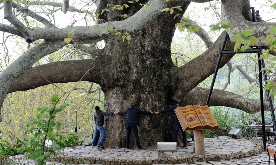 From Istanbul: Private Bursa City Day Trip - Uludag by Cable Car: Big Views, Winter Potential, and Mountain Air